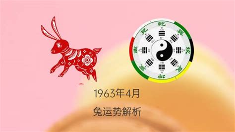 1963年兔|63年属什么命 1963年出生是什么命